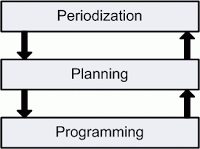 periodization