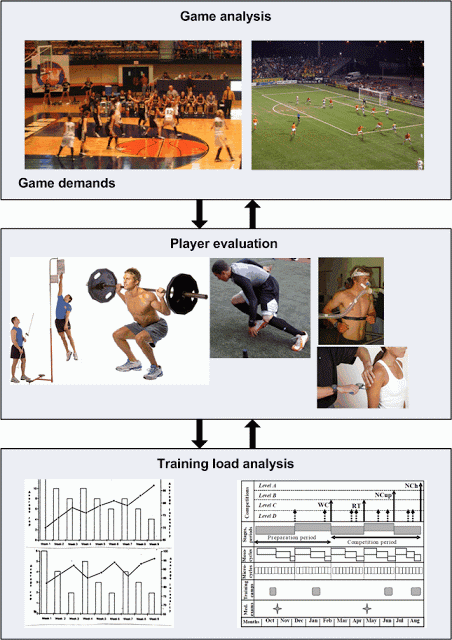 analysis levels